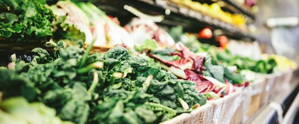 Shelves filled with produce